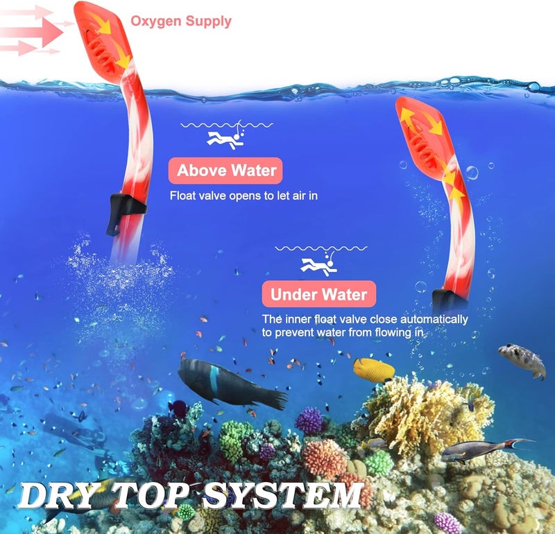 ACQCES Kids Snorkel Set Dry Top Snorkeling Gear for Kids Youth Boys Girls Junior Age 5-15,Tempered Glass Swimming Diving Mask and Snorkel Set 180 Degree Panoramic View - Image 5